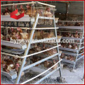 Système automatique de cages d&#39;élevage de poulets et d&#39;oeufs